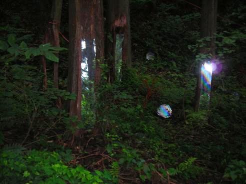 アンティエグメルス１