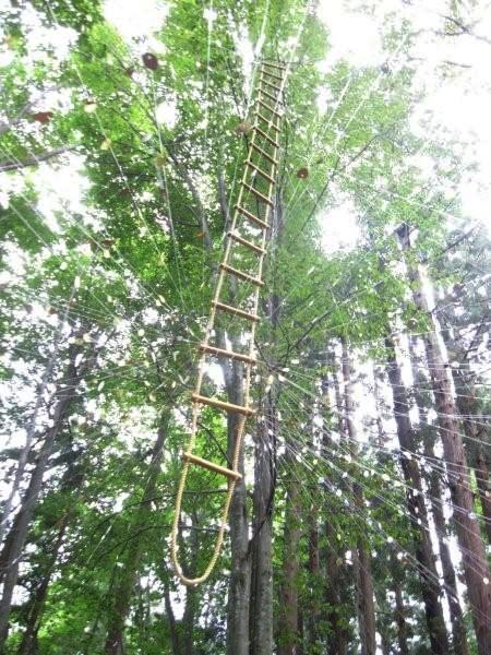 アンティエグメルス７